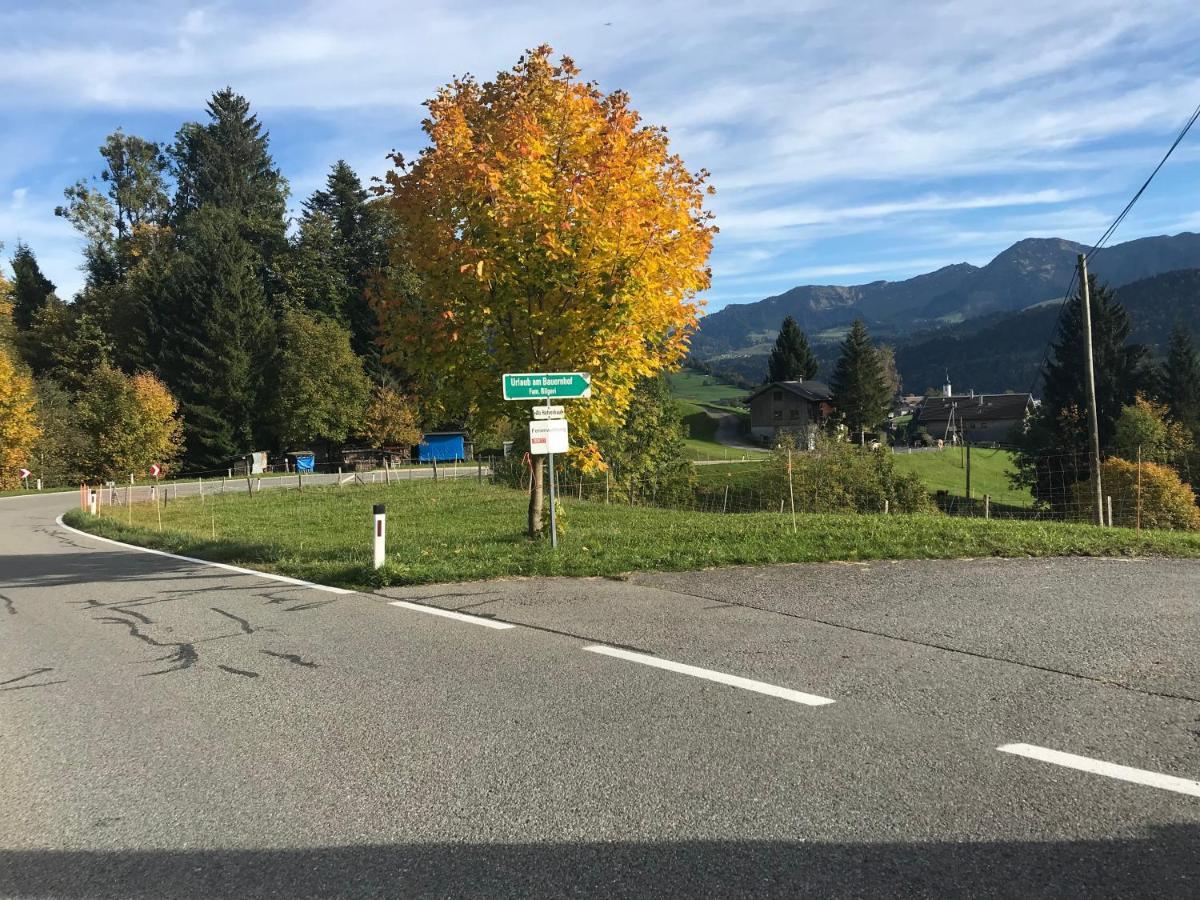 ヒッティザウ Bauernhof Bilgeriヴィラ エクステリア 写真